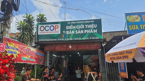 DHV (Copy).jpg